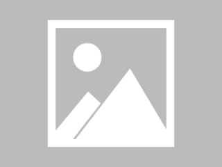 猛龙球员受伤成困扰，团队持续寻找解决方案的简单介绍